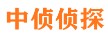 东山侦探公司